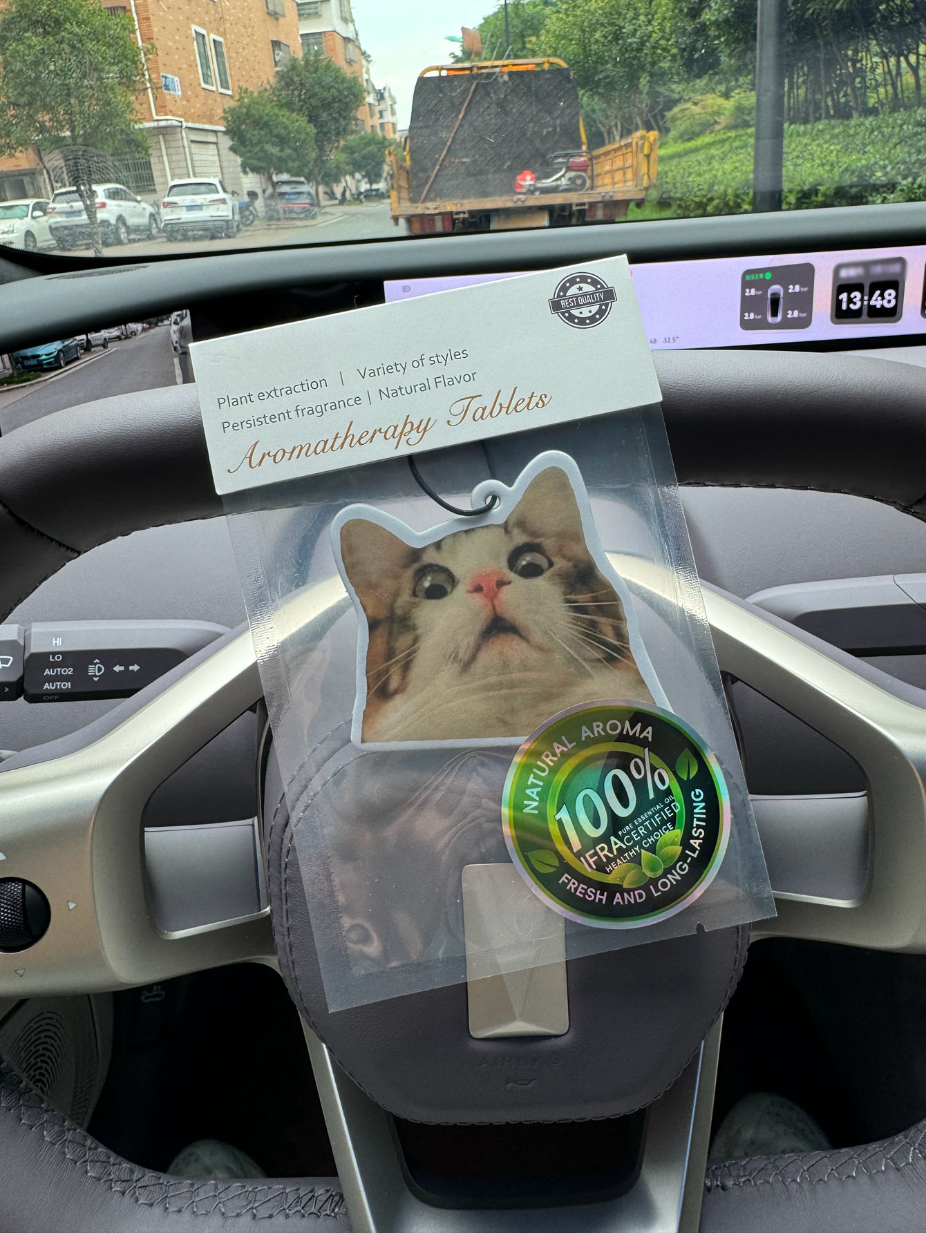 Surprised Shocked Cat Meme Car - Perfume And Fragrance Are Same ulasan dan harga