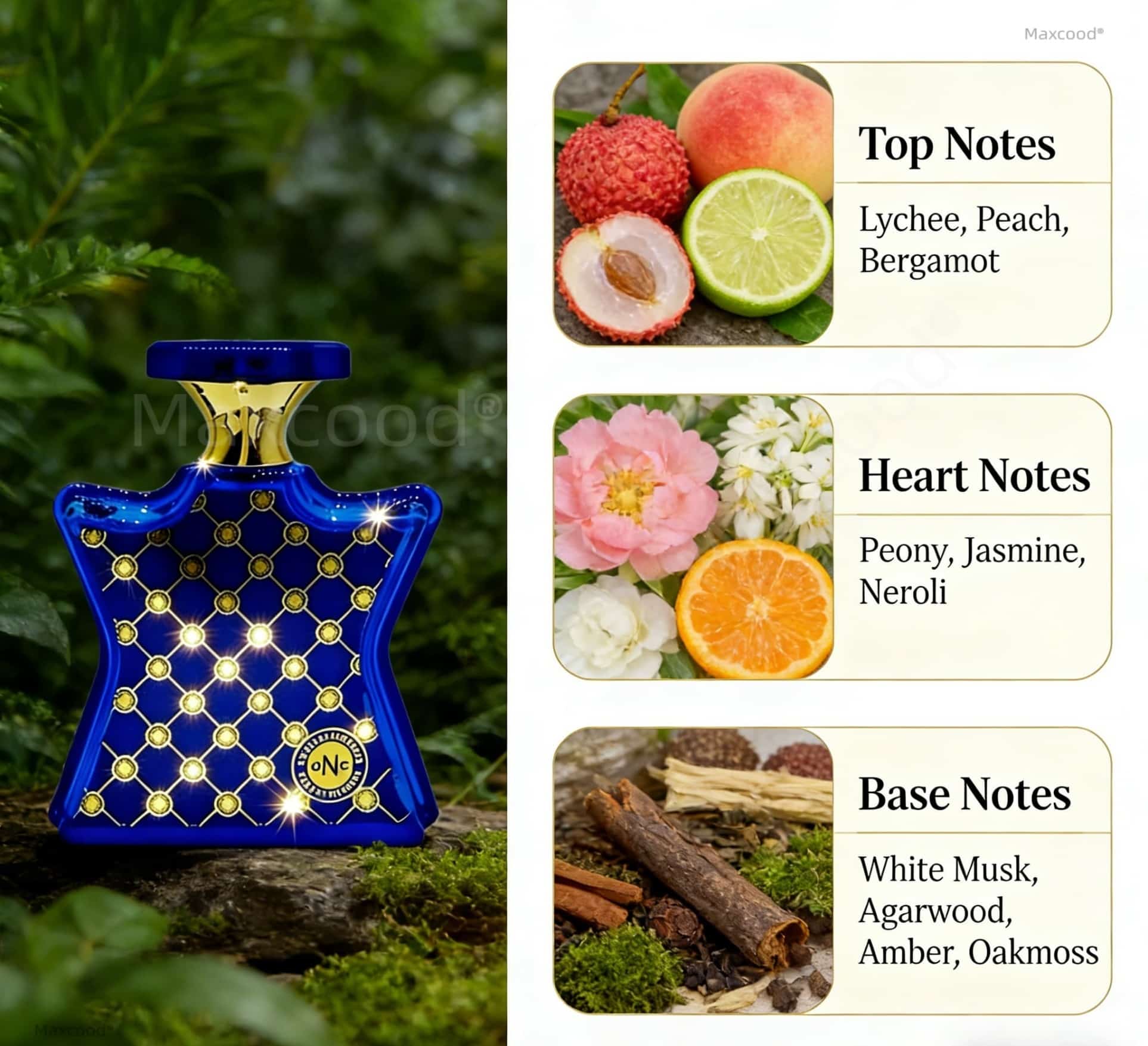 Citrus and Floral Perfume Long - Perfume Floral Fragrance ulasan dan harga