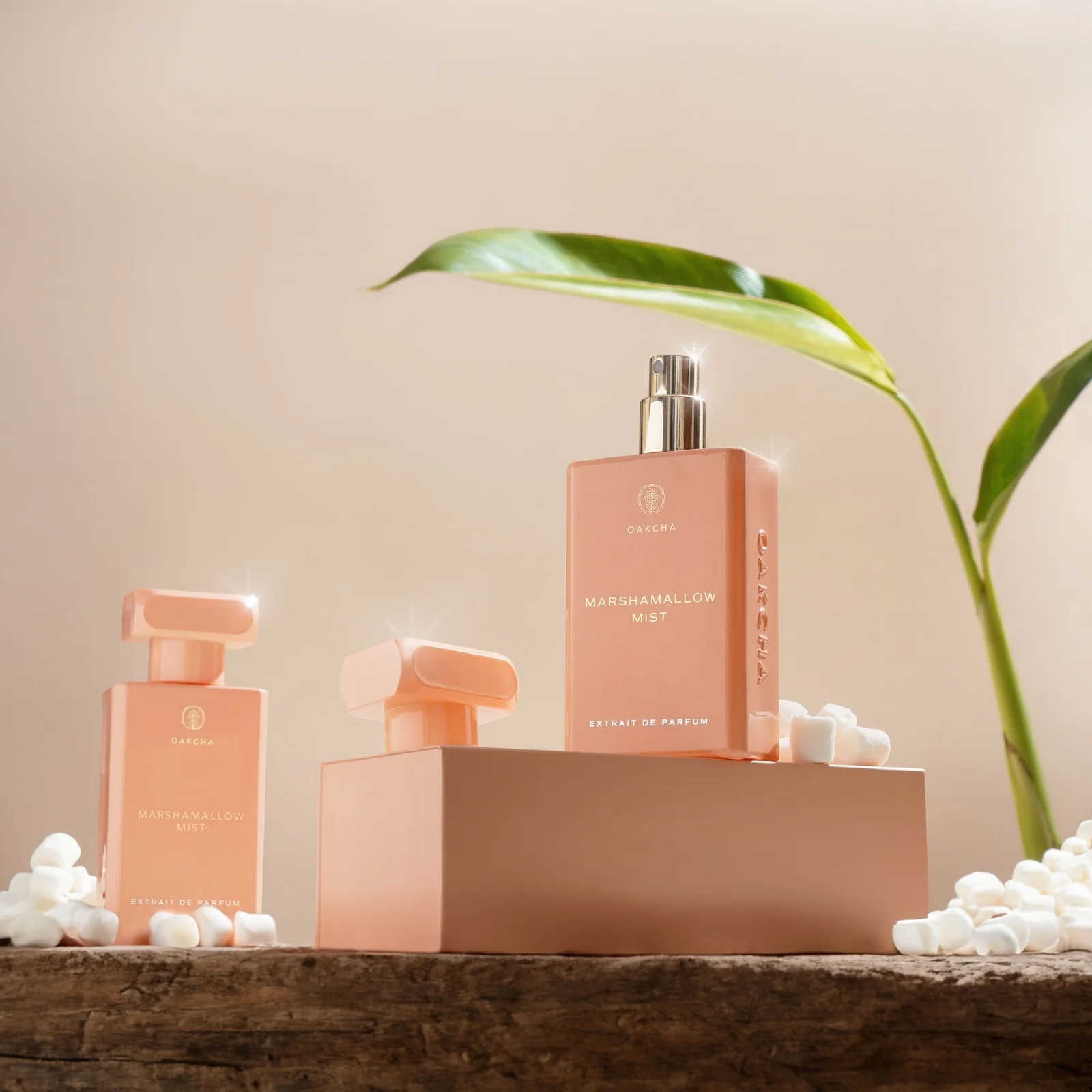 OAKCHA Marshmallow Mist Perfum - Perfume Juicy Fragrance ulasan dan harga